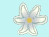 colbue flower